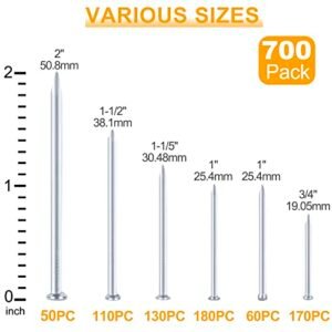 700pcs Assorted Picture Hanging Nails - Premium Quality Kit