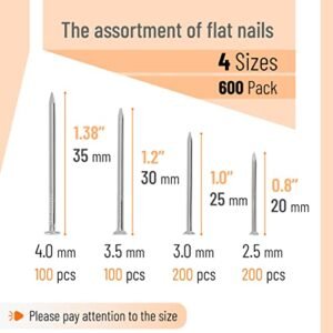 Mr. Pen 600-Pc Nail Assortment Kit for All Projects